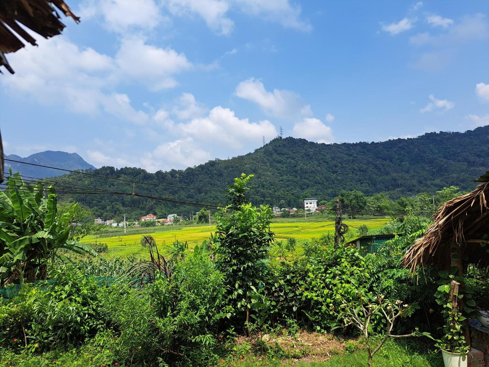 Homestay Field - Bungalow, Ha Giang Loop Tour, Motorbikes Rental Dış mekan fotoğraf