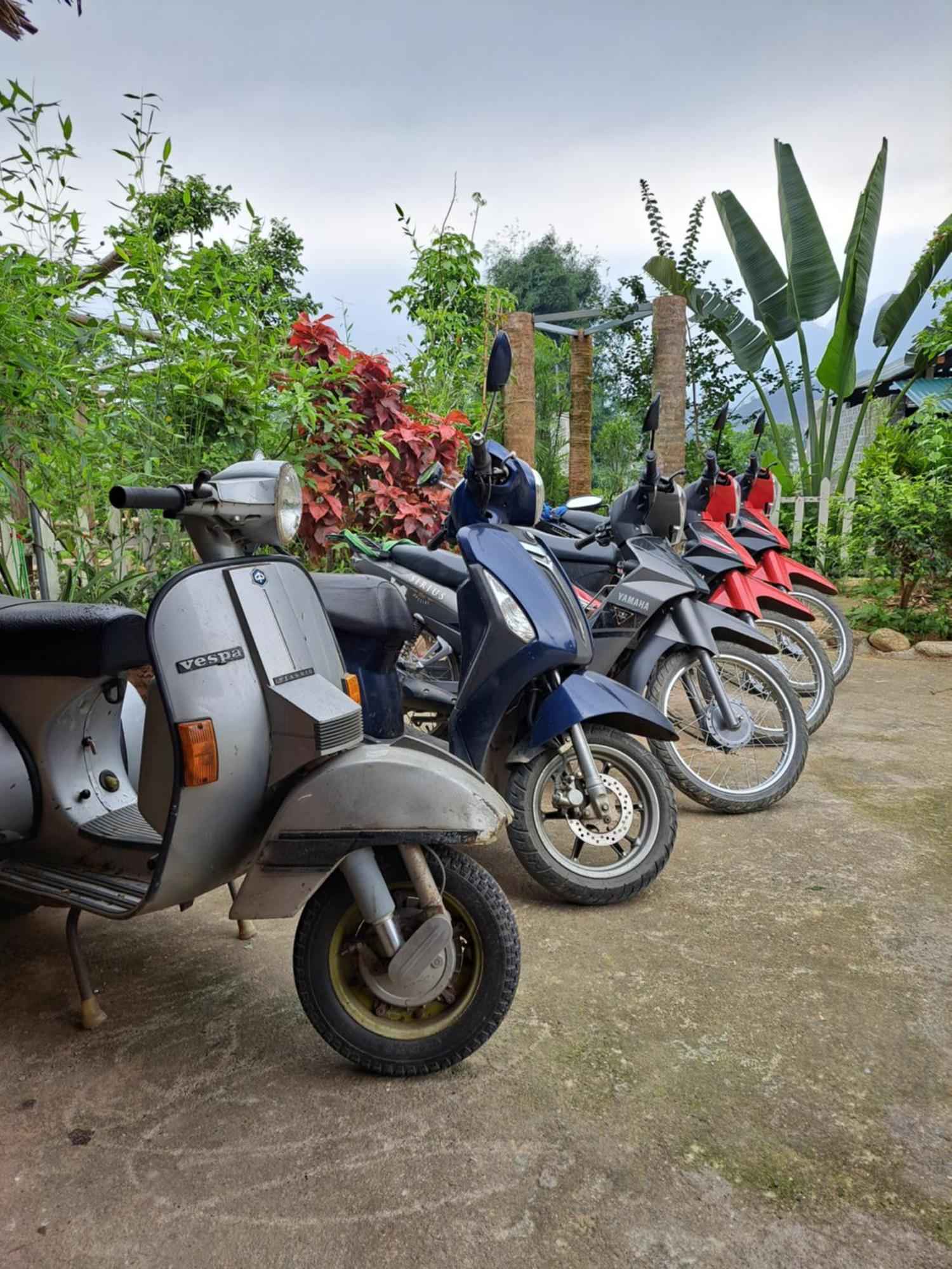 Homestay Field - Bungalow, Ha Giang Loop Tour, Motorbikes Rental Dış mekan fotoğraf