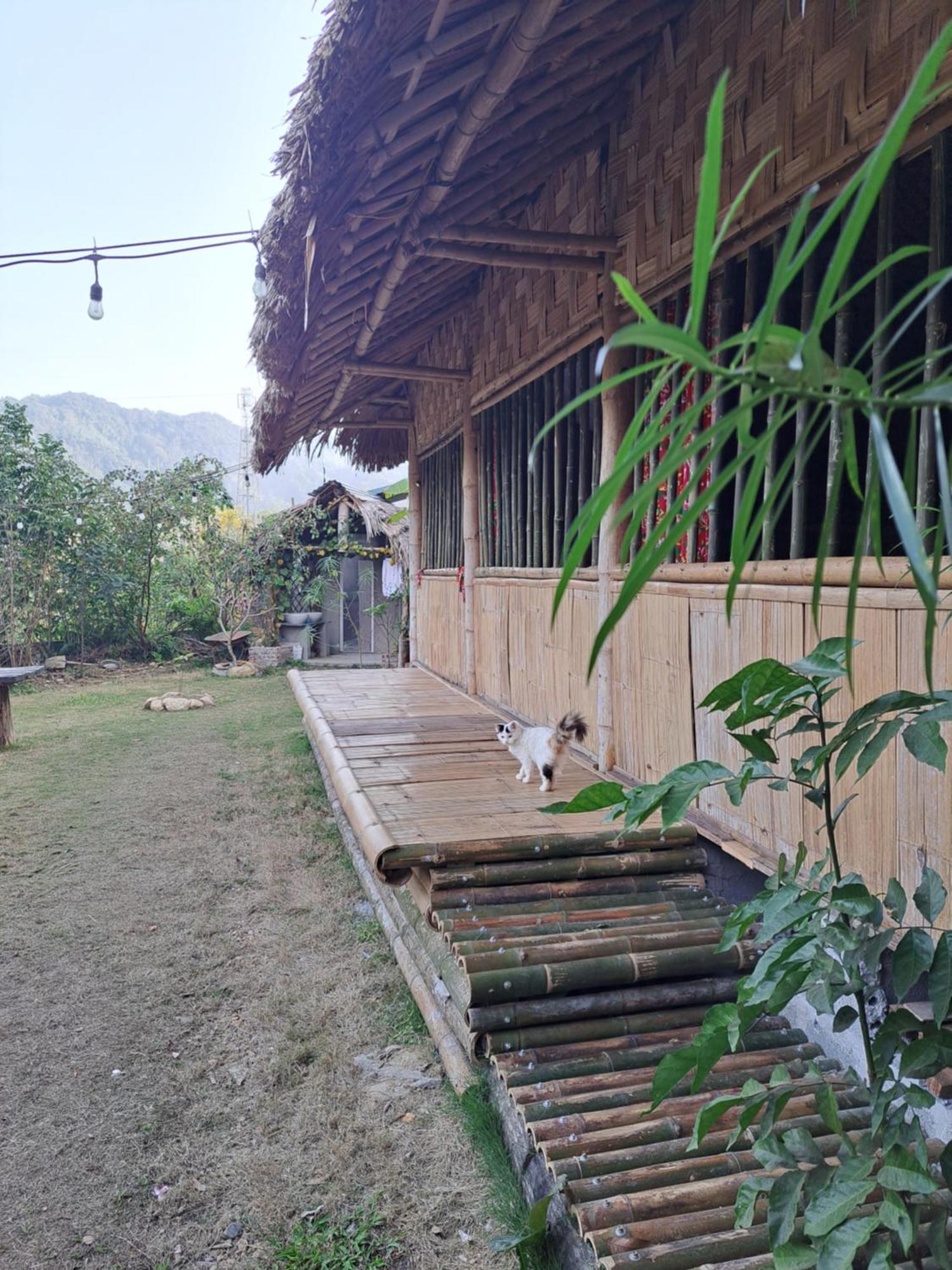 Homestay Field - Bungalow, Ha Giang Loop Tour, Motorbikes Rental Dış mekan fotoğraf