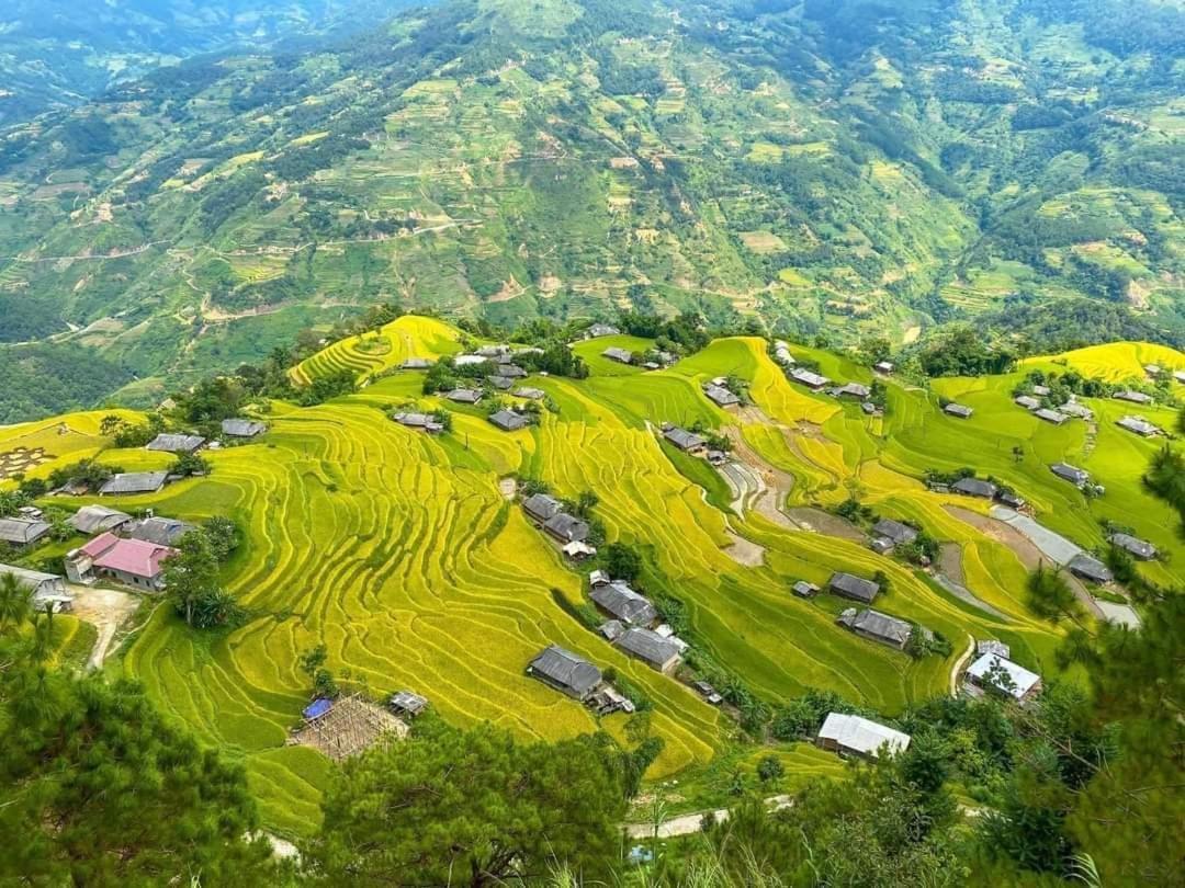 Homestay Field - Bungalow, Ha Giang Loop Tour, Motorbikes Rental Dış mekan fotoğraf